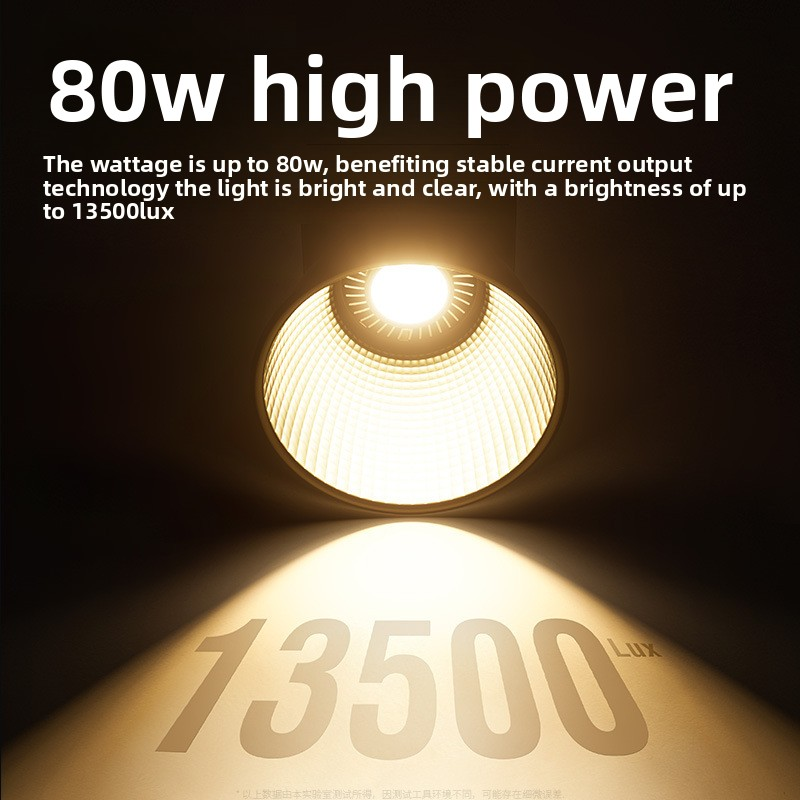 ZU80 High-Power COB Fill Light - Photography Lighting Portable recensione e prezzo