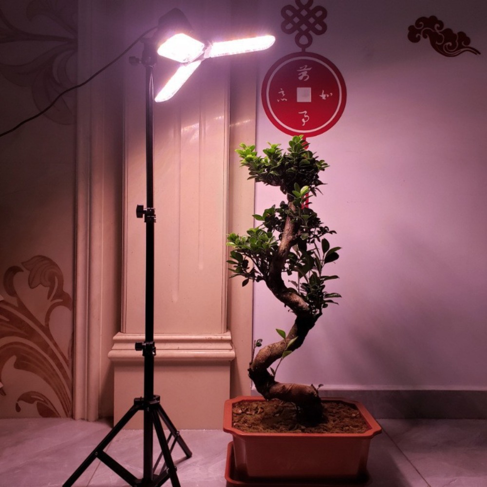 Light Bulb Stand 2M, E27 AC So - Photography Lighting With Umbrella recensione e prezzo