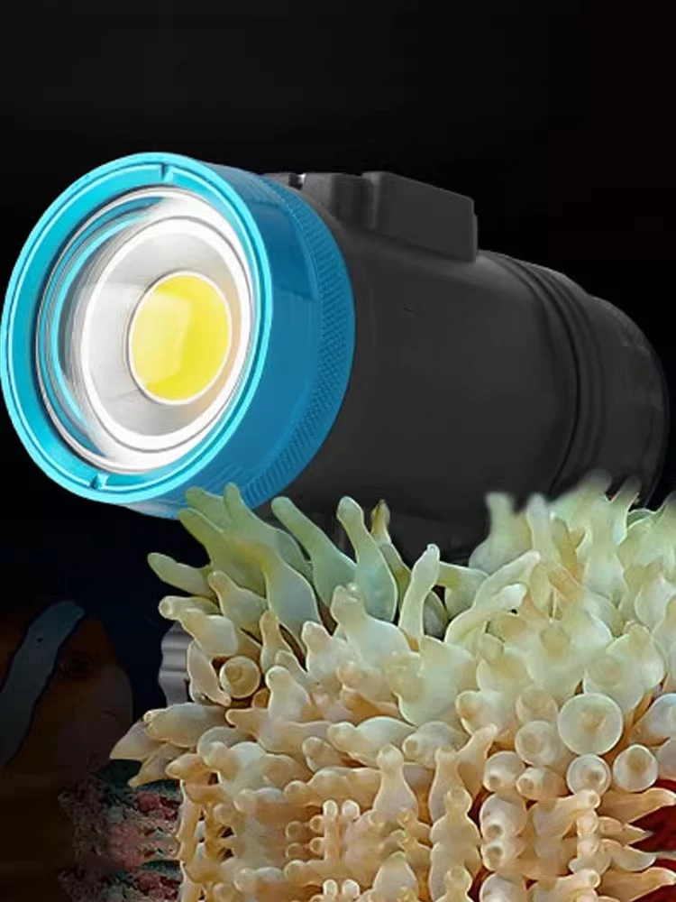 WF099SolarFlare7000S wide angl - Photography Lighting Angles recensione e prezzo