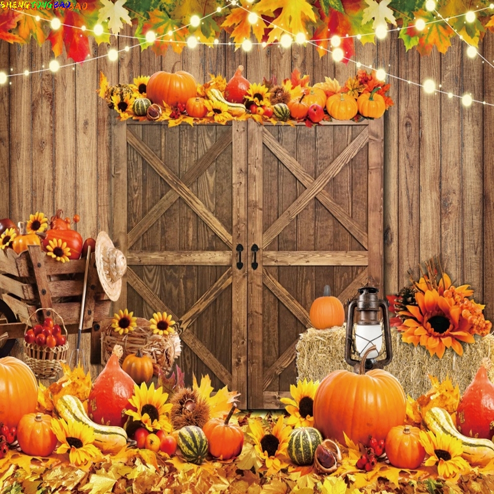 Autumn Backdrop Wood Barn Door - Photography Lighting Indoor recensione e prezzo