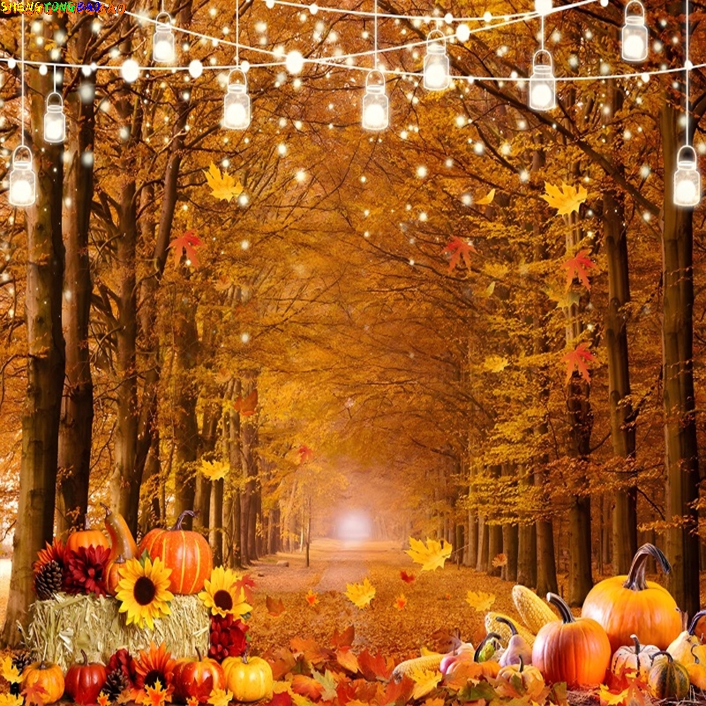 Autumn Backdrop Wood Barn Door - Photography Lighting Indoor recensione e prezzo