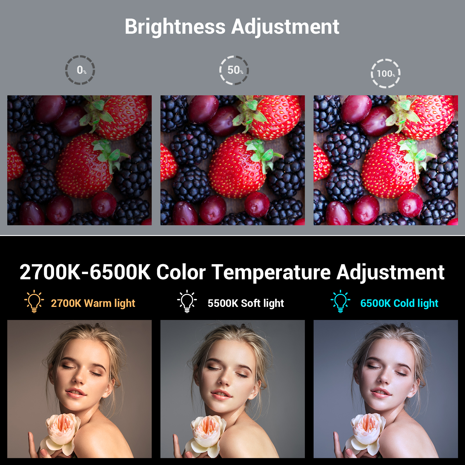 SmallRig Portable LED Video Ca - Photography Lighting With Umbrella recensione e prezzo