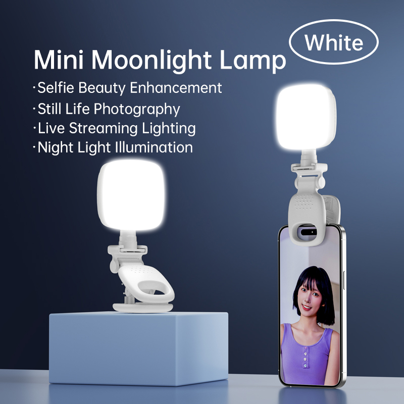 Portable LED Selfie Light Came - Photography Lighting Effects recensione e prezzo
