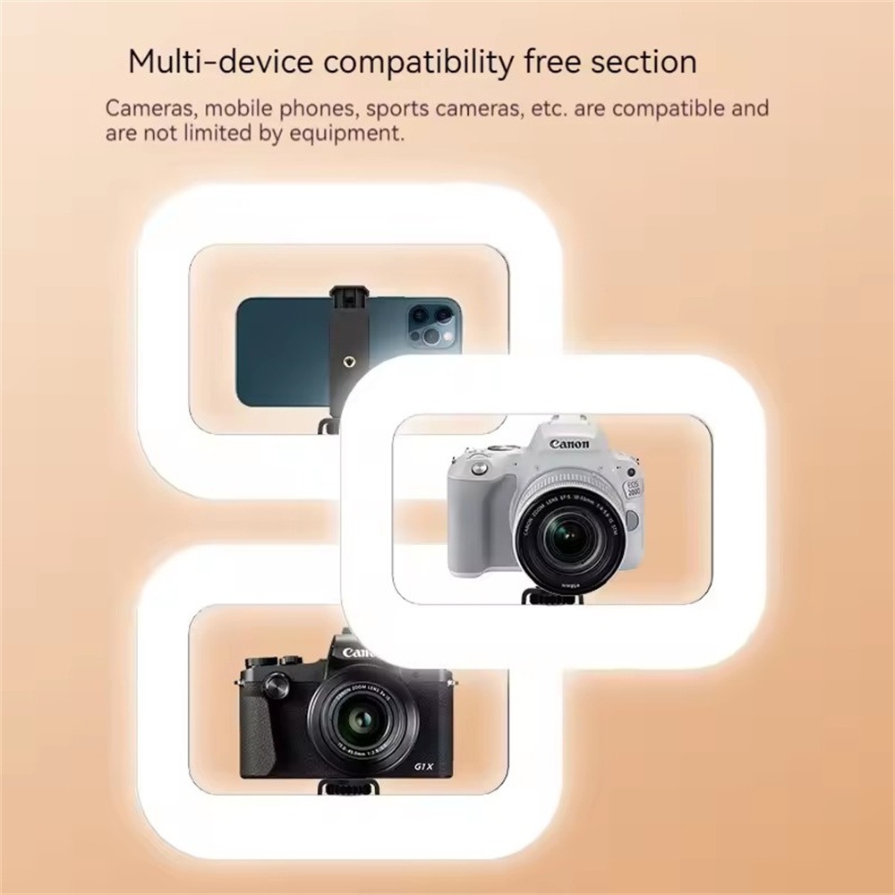 FANGTUOSI hand-held Fill Light - Photography Lighting Indoor recensione e prezzo