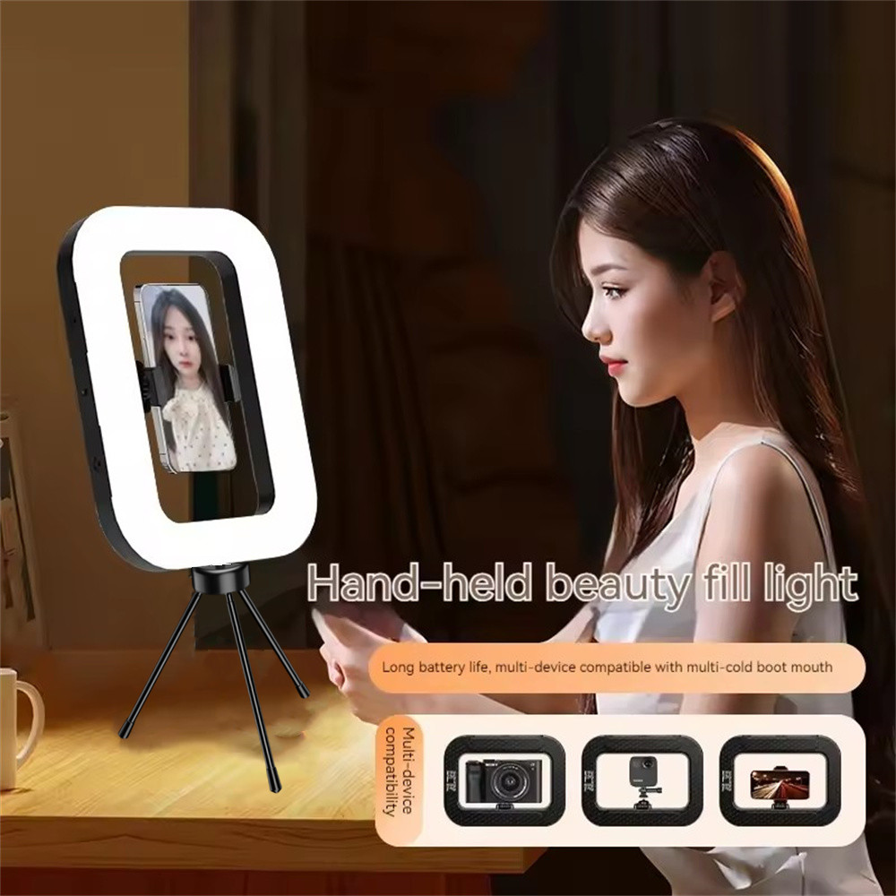 FANGTUOSI hand-held Fill Light - Photography Lighting Indoor recensione e prezzo