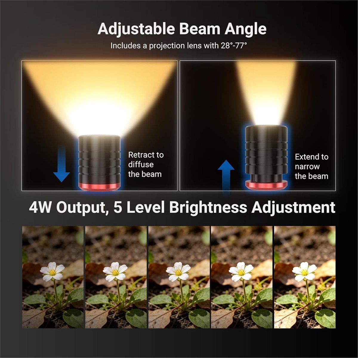 M05K LED Light for Macro Photo - Photography Lighting Angles recensione e prezzo
