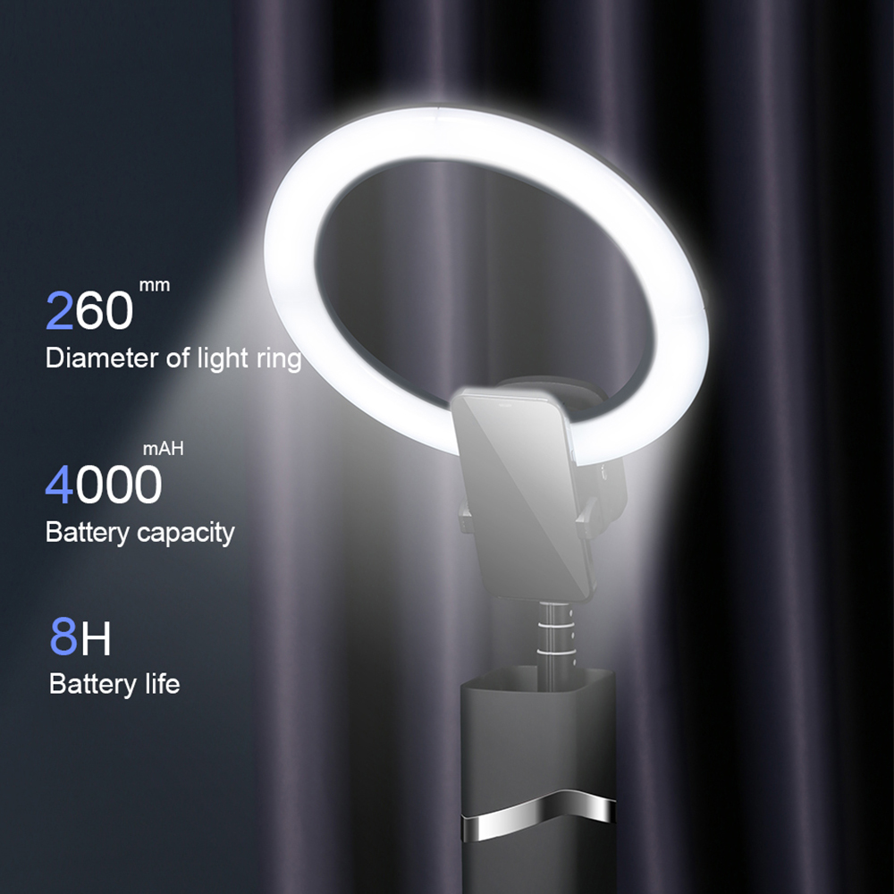 Outdoor Live beauty light,Port - Photography Lighting Indoor recensione e prezzo