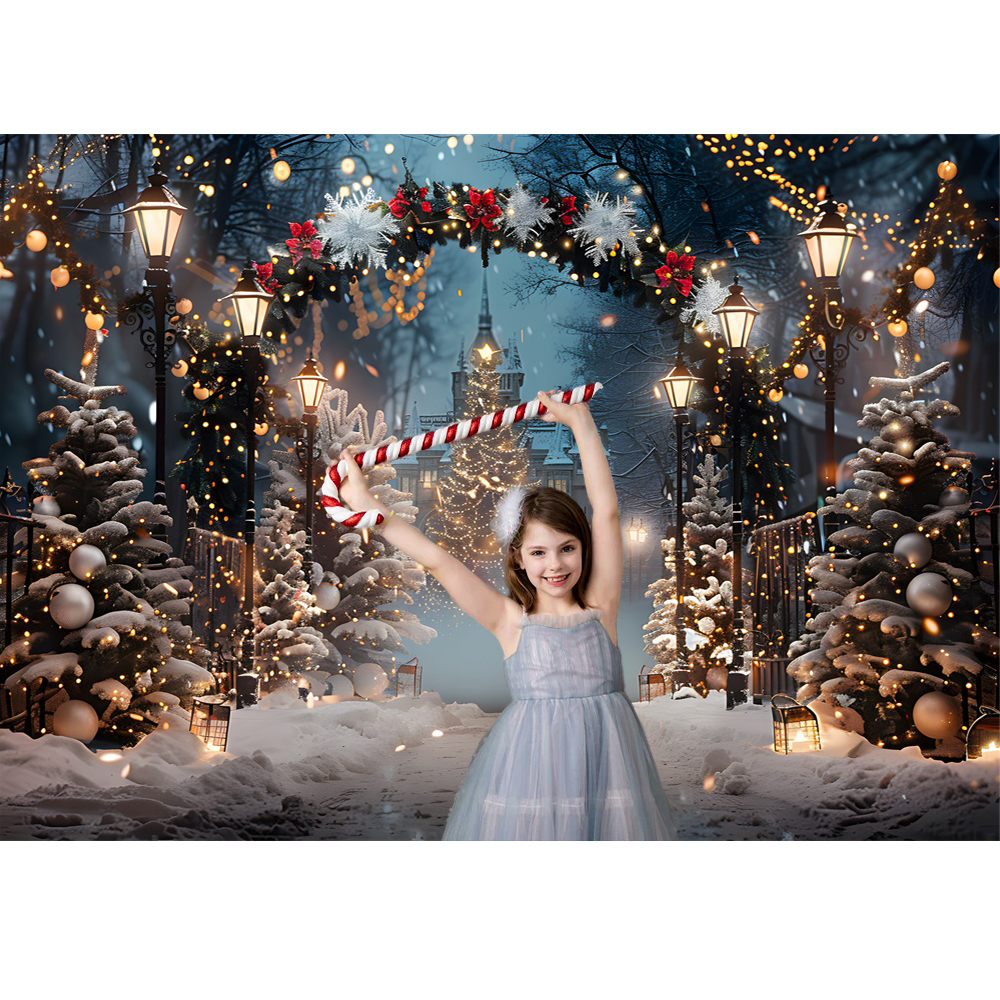 Christmas Eve Photography Back - Photography Lighting Indoor recensione e prezzo