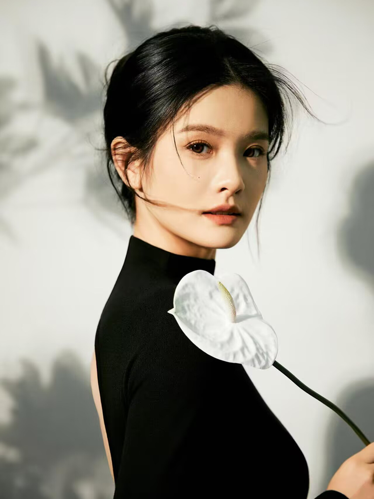 New Simple Chinese Style High- - Lighting In Photography recensione e prezzo