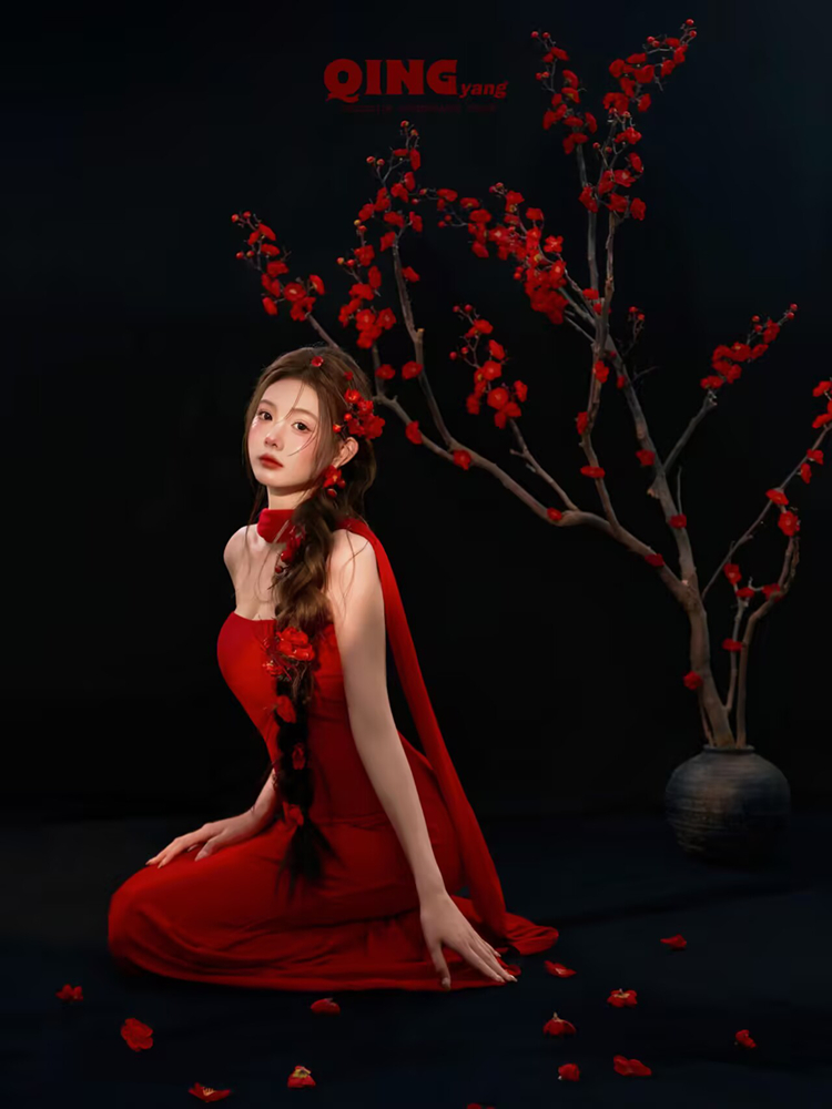 2026 New Year Red Artistic Pho - Photography Lighting For Clothing recensione e prezzo